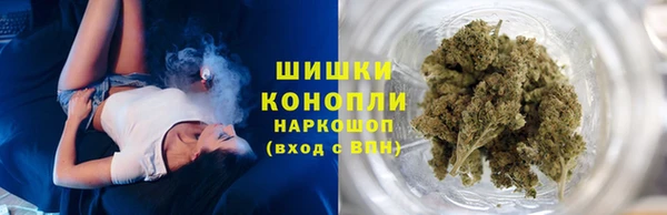 ГАЛЛЮЦИНОГЕННЫЕ ГРИБЫ Беломорск