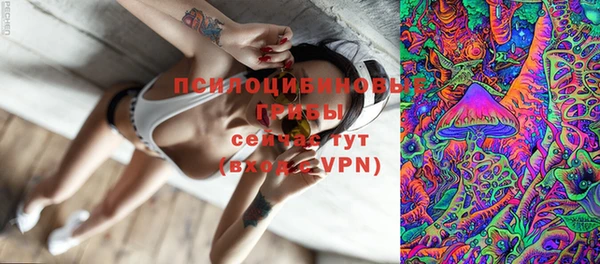 ГАЛЛЮЦИНОГЕННЫЕ ГРИБЫ Беломорск