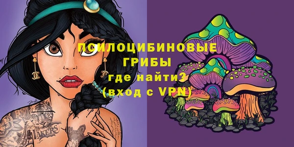 a pvp Белокуриха
