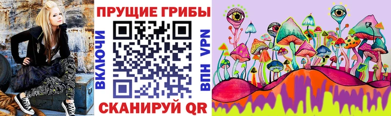 Псилоцибиновые грибы Cubensis  хочу   Видное 