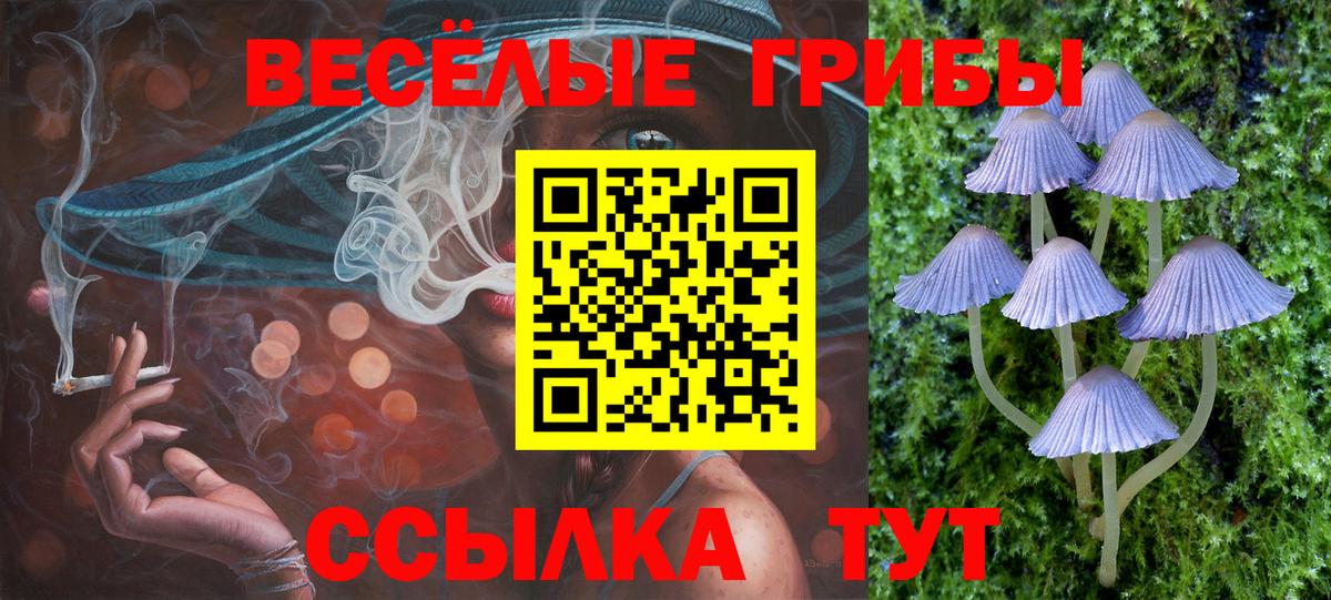 Псилоцибиновые грибы Psilocybine cubensis  Вход с VPN  дарнет шоп  Видное 